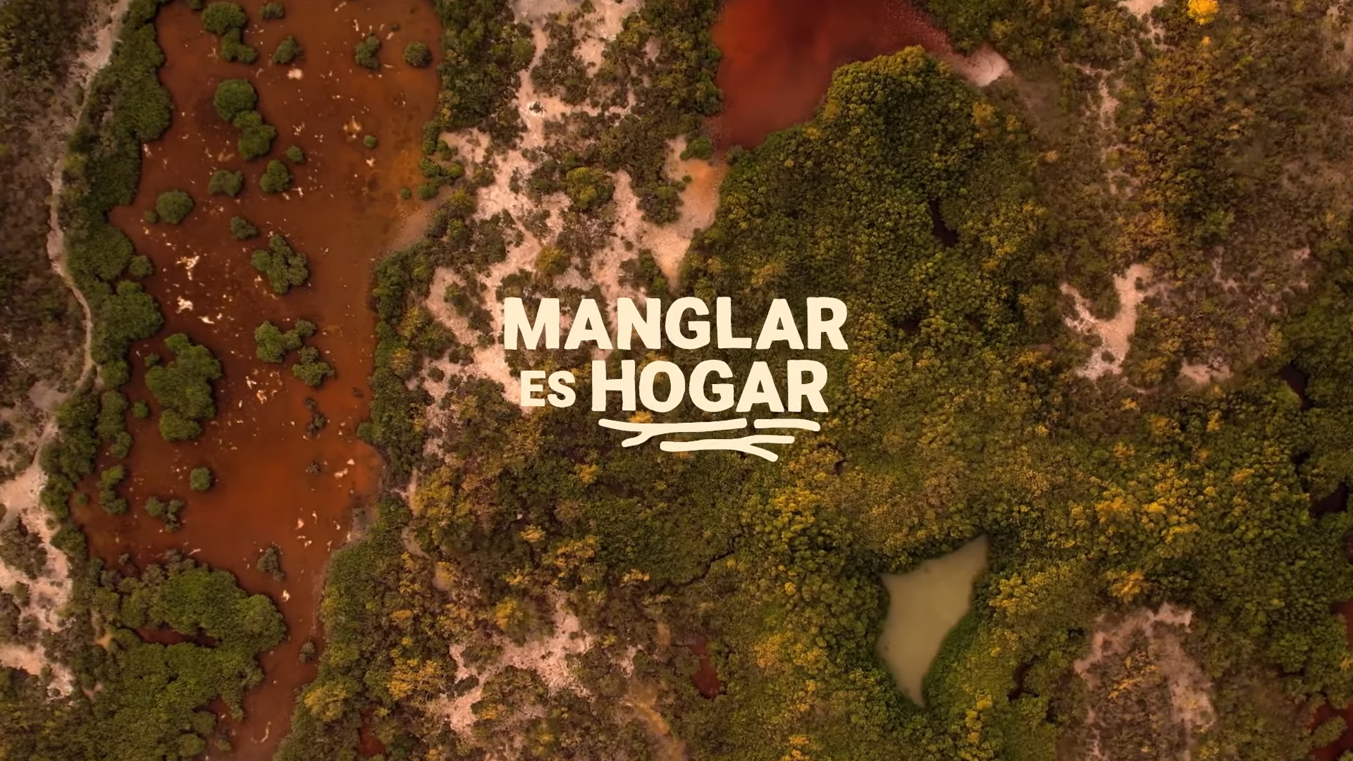 Manglar es Hogar